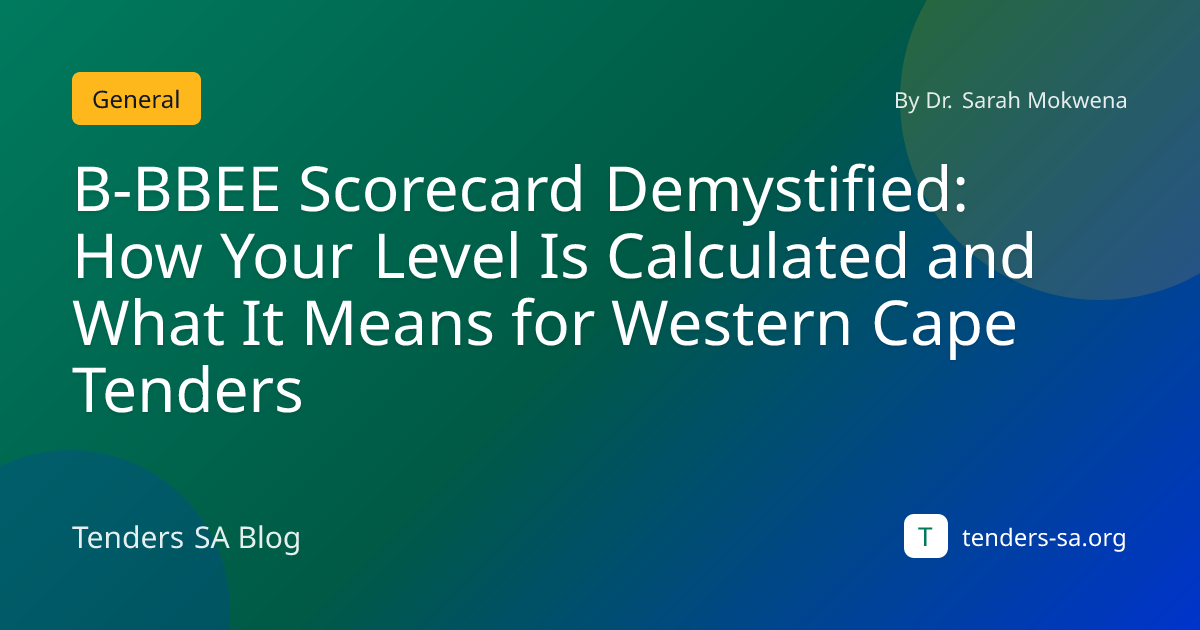 B-BBEE Scorecard Demystified: How Your Level Is Calculated a