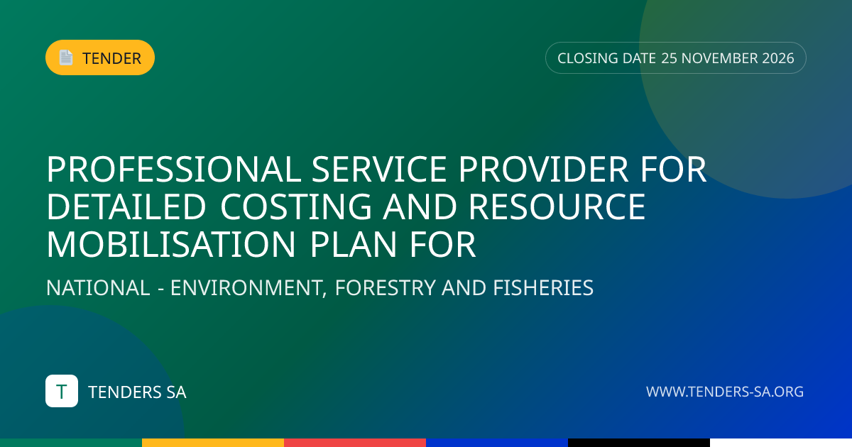 THE APPOINTMENT OF THE PROFESSIONAL SERVICE PROVIDER FOR A PERIOD OF ...